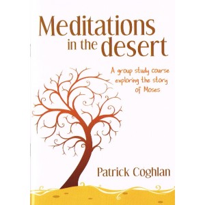 Meditations In The desert by Patrick Coghlan